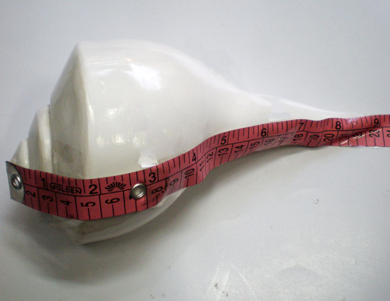 Large Lakshmi Bathing Conch Shell